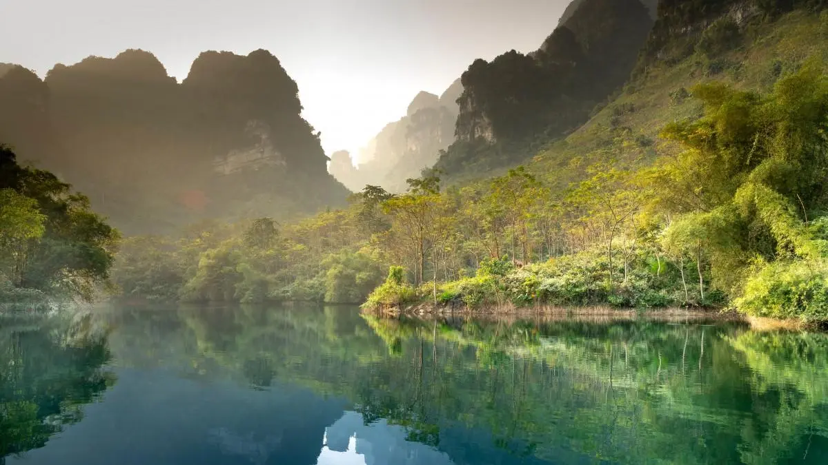 高标准高质量